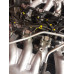 Jaguar E Type V12-12 Injector Kit with Pertronix
